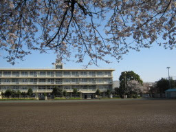 所沢市立向陽中学校(周辺)
